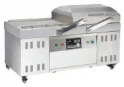 Вакуумный упаковщик CVP-800-2SB-G